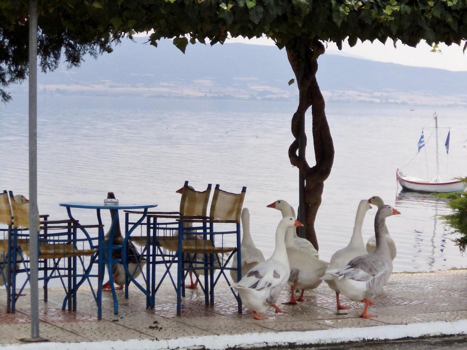 Stavros Lay In Aparthotel Ano Stavros ภายนอก รูปภาพ